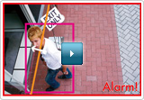 link to flash