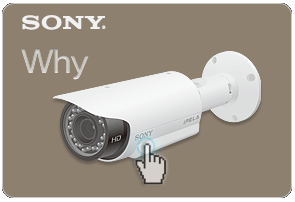 Sony benefits PDF document